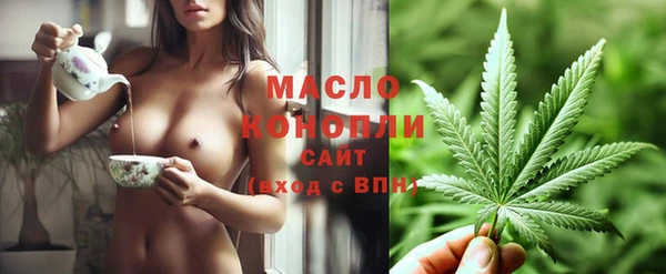 хмурый Аркадак