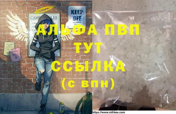 шишки Арсеньев