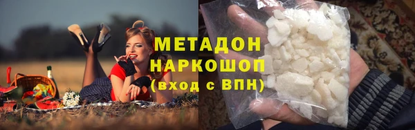 шишки Арсеньев