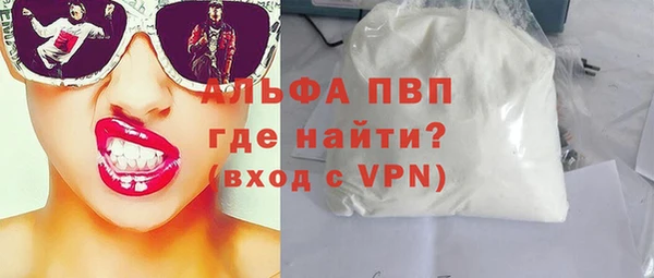 шишки Арсеньев