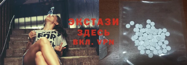 хмурый Аркадак
