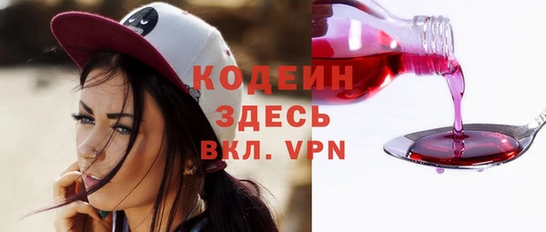 хмурый Аркадак