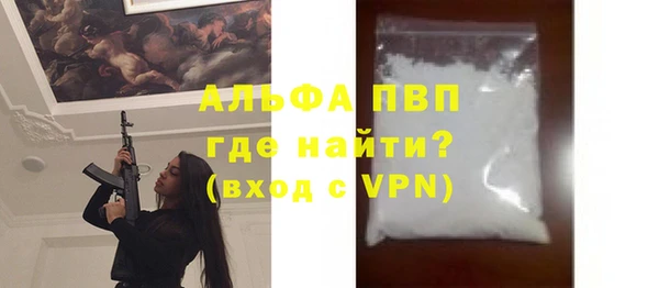шишки Арсеньев