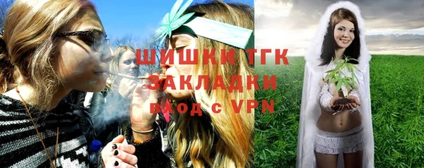хмурый Аркадак