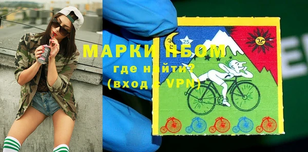 хмурый Аркадак