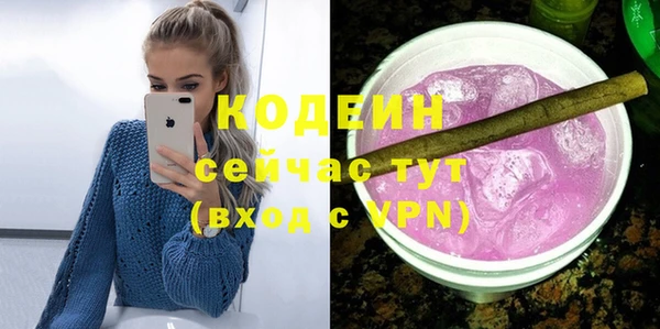 хмурый Аркадак