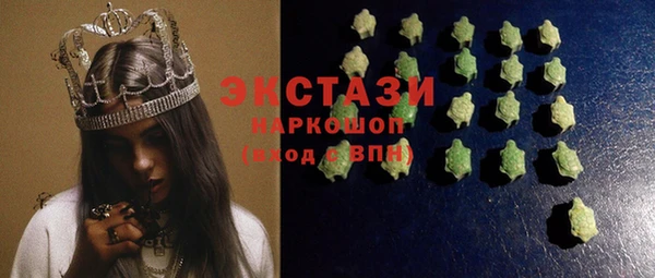 хмурый Аркадак